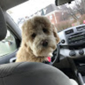 Meet your Posher, Elizabeth